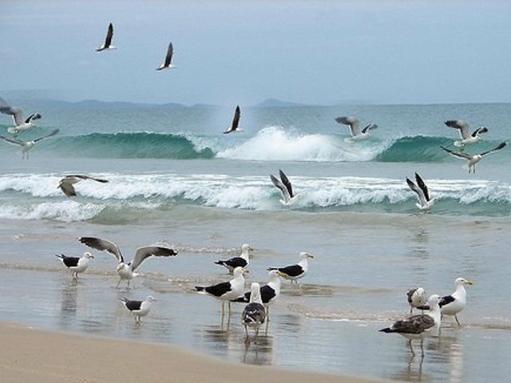 Recanto Dos Artistas Otel Florianópolis Dış mekan fotoğraf